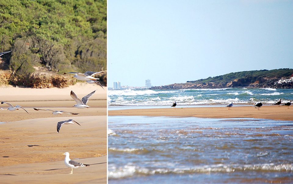 TALMONT Plage 03_1200x758
