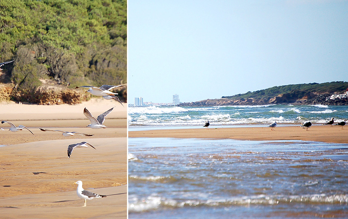 TALMONT Plage 03_1200x758